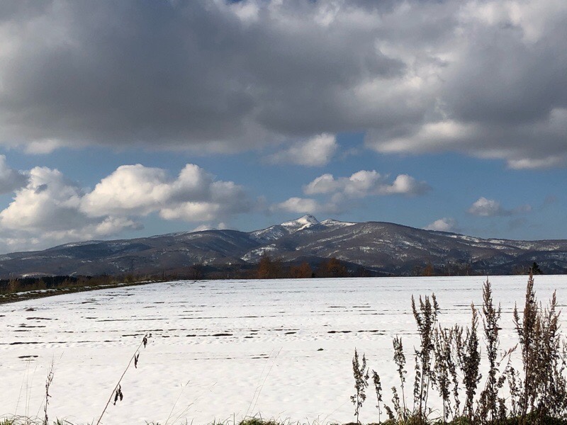 雪の降り方の町による違いを実感！岩内町からニセコ・胆振までの景色