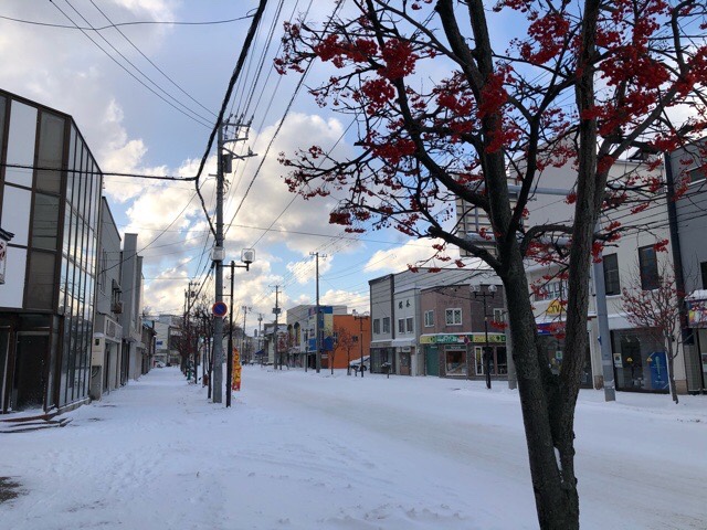 北海道積丹とニセコに位置する岩内町に雪が降る！現在の岩内町の雪景色
