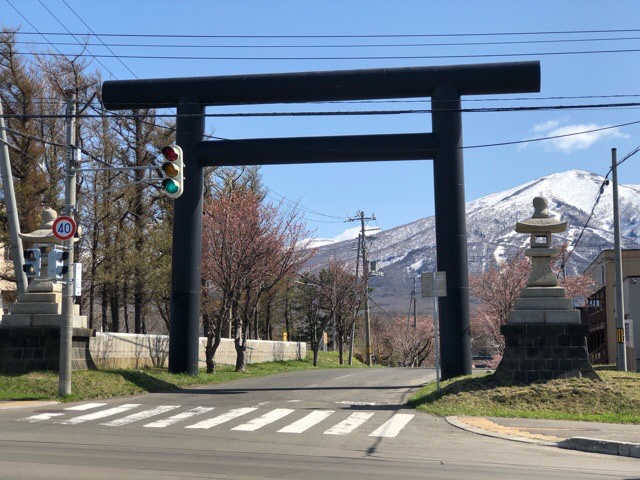 北海道から桜の便り！岩内町も桜が開花2021