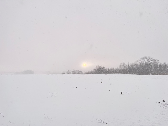 早朝共和町吹雪