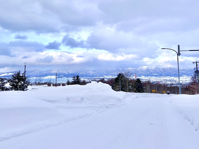 冬の円山風景