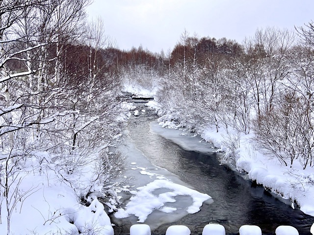 野束川積雪