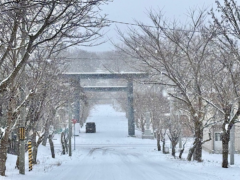 雪の神社参道