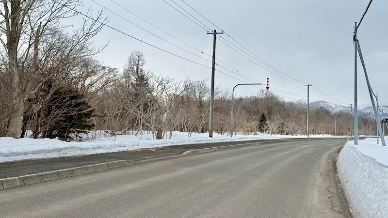 雪のない道路