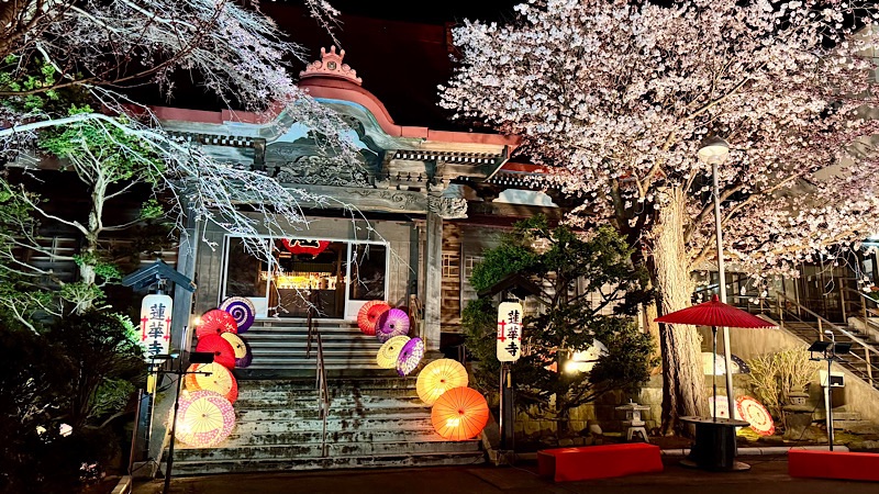 蓮華寺夜桜ライトアップ