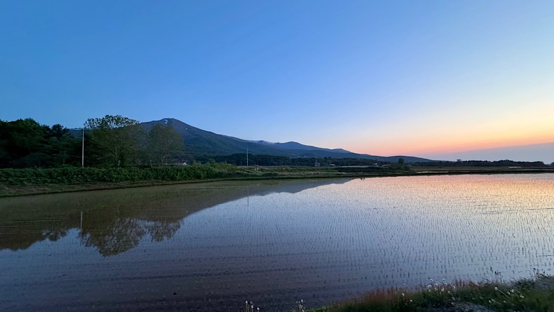 共和町の田んぼ