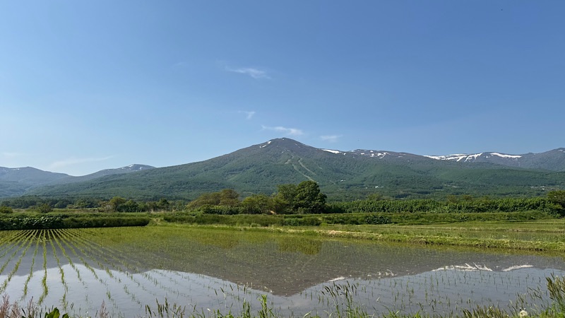 岩内町の田んぼ