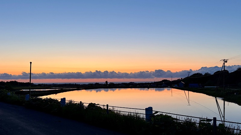 共和町の田んぼ