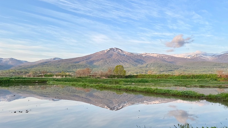 岩内町の田んぼ