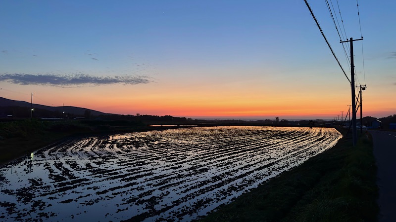 5月中旬になると、岩内町や共和町の田んぼに水が入り、夕方の空が水面に映るようになります。