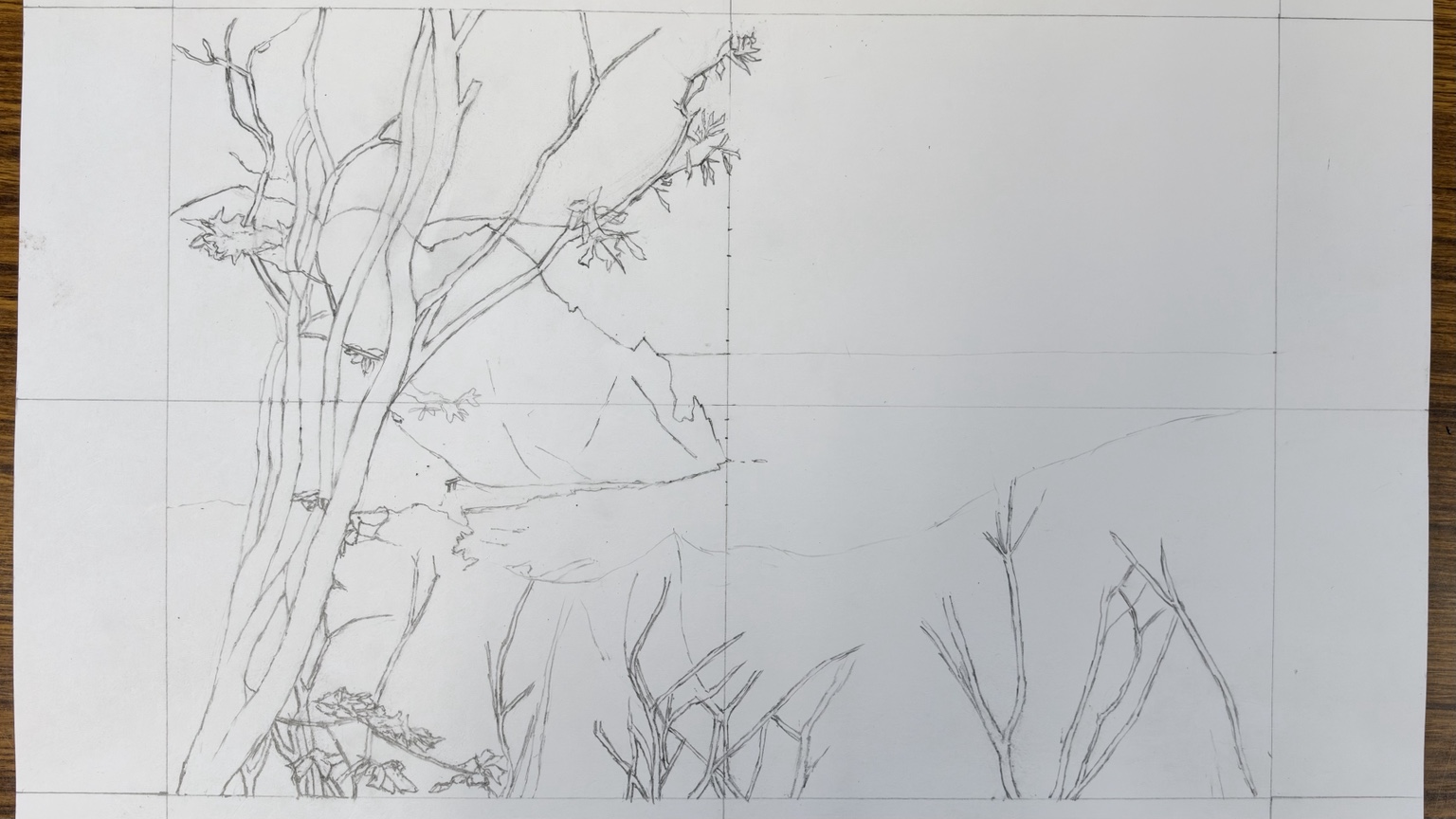 樹木と海岸の風景を鉛筆で描いている途中の下描き