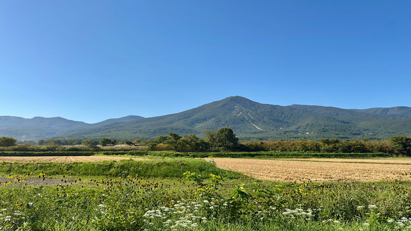 山並みの手前に草地と畑が広がる景色